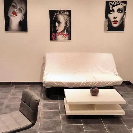 Centre-ville アパート *